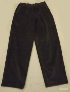 Pantalon En Velours Marque Ischler Taille 36