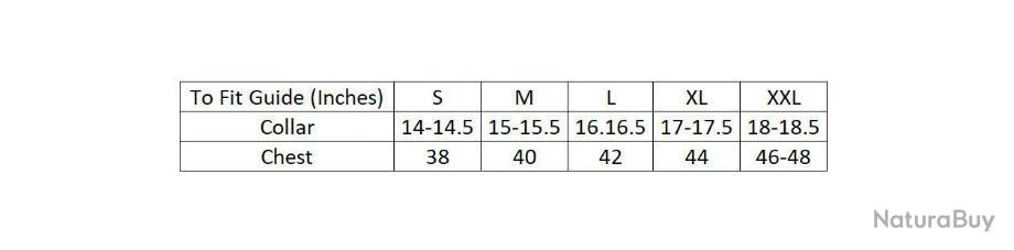 Chemises Tattersall Bleu 5 Chemises Tattersall Bleu – Image 5