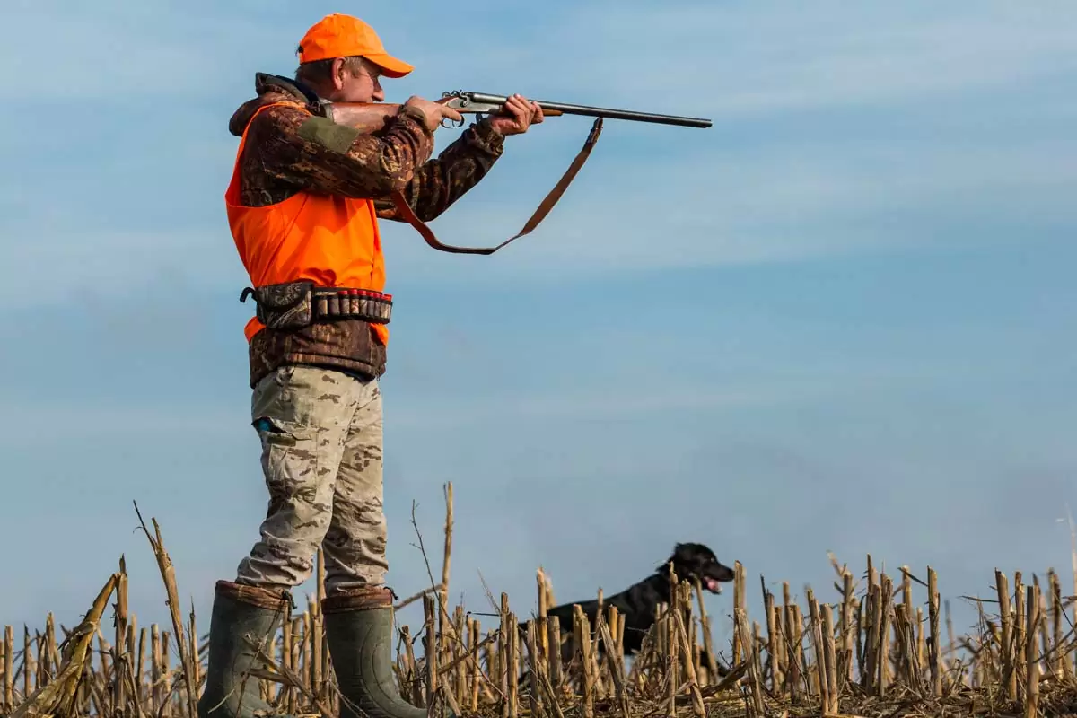 Magasin Du Chasseur 37 Magasin Du Chasseur -Magasin Du Chasseur ao san